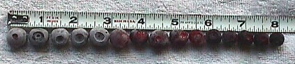 Various huckleberry sizes