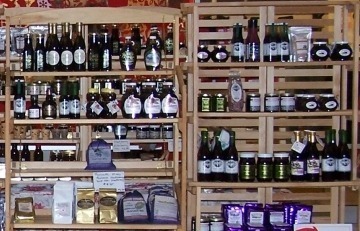 Close-up of ripe blueberries growing on leafy bushes.