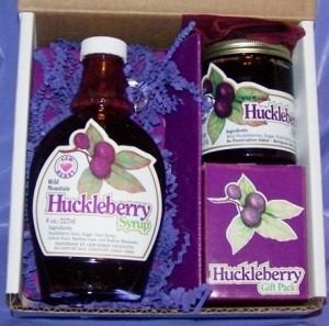 Close-up of ripe blueberries growing on leafy bushes.